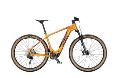 Light E-MTB Hardtail