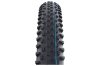 SCHWALBE Reifen RACING RAY Evo, Super Ground, TLE