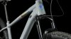 Cube Access WS SLX grey'n'silver Größe: 20  / 29 / L