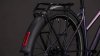 Cube Editor SLX FE ammolite'n'reflex Größe: Trapeze 46 cm