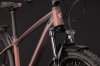Cube Aim SLX FE rustyrose'n'peach Größe: M