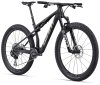 GIANT Anthem Advanced SL 0 Gloss Raw Carbon/Matte Raw Carbon M