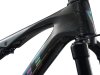 GIANT Anthem Advanced SL 1 rainbow black/rainbow charchoal L