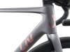 Liv Langma Advanced 2 native grey M