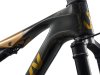 Liv Pique Advanced SL 0 raw carbon XS